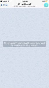 Telegram Group Chat Sharing Nudes Of Sg Women Has More Than K Members