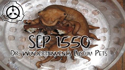 Scp 1550 Dr Wondertainments Custom Pets Safe Foundation Reading