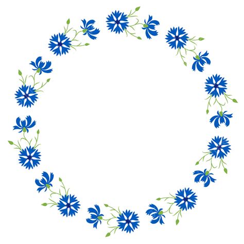 Gambar Bingkai Bulat Dengan Bunga Biru Mekar Bunga Jagung Botani