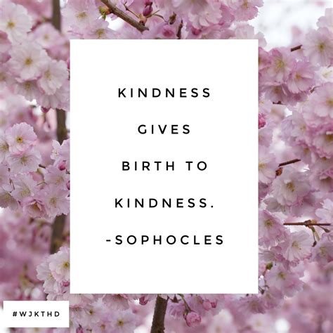 Kindness Gives Birth To Kindness Sophocles To Do Today Make A