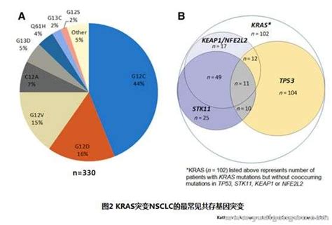 Kras突变非小细胞肺癌的预后和疗效与癌共舞基因检测 Powered By Discuz