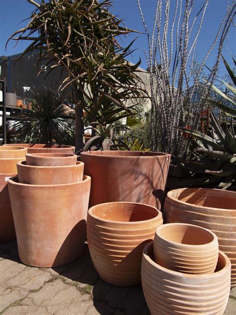 pottery glazed  terra cotta pottery cactus jungle