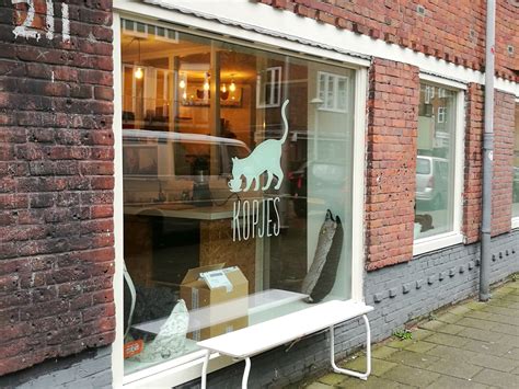 Relax with friendly adoptable cats from @therescuehouse #catcafesd say hi to our resident bengals @jaceyandleo www.catcafesd.com. A 'Clawesome' visit to the Cat Cafe in Amsterdam - Tassie ...