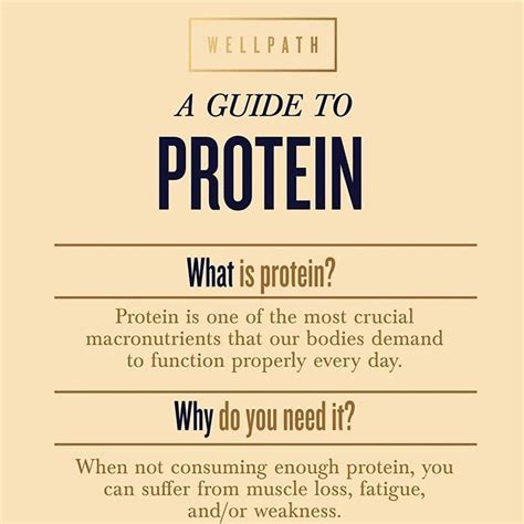 The minimum recommended protein allowance is 0.8 grams of protein per kg body weight (bw) per day. Everyone over the age of 19 should be consuming at least 0 ...
