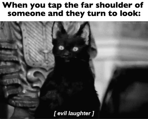 Evil Laugh Black Cat  Wiffle