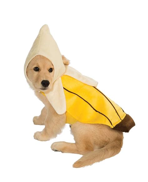 Banana Dog Costume Best Costumes For Dogs Popsugar Uk Pets Photo 40