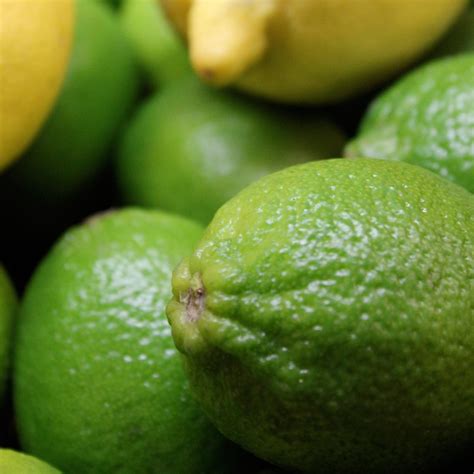 Large Sized Limes X 5 The Northampton Grocer