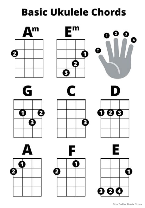 Beginner Ukulele Basic Chords Sheet Great For Beginners Etsy