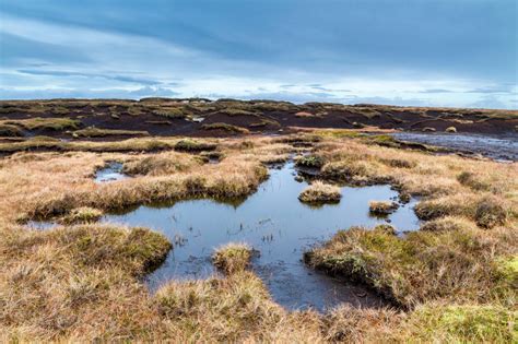 The Bogs Of Britain From Godforsaken Wasteland Full Of Dangers To