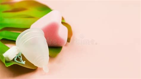 Becher Tampon Und Schwamm Der Menstruation In Rosa Stockbild Bild Von Behälter Hintergrund
