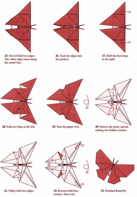 Step Instructions How To Make Origami A Butterfly Vector Image Images