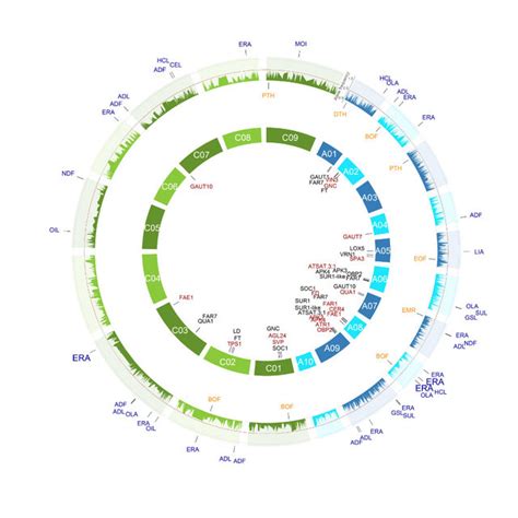 Genkartierung — genkartierung, mit verschiedenen methoden durchgeführte zuordnung der gene zu orten auf den chromosomen. Abbildung 4: Vergleichende Genkartierung für komplex ...