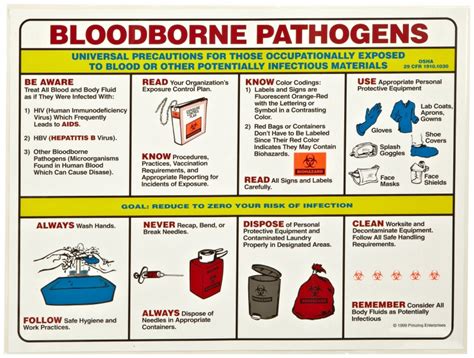 By the end of the course, you will be in a position to identify. Annual Bloodborne Pathogens Training