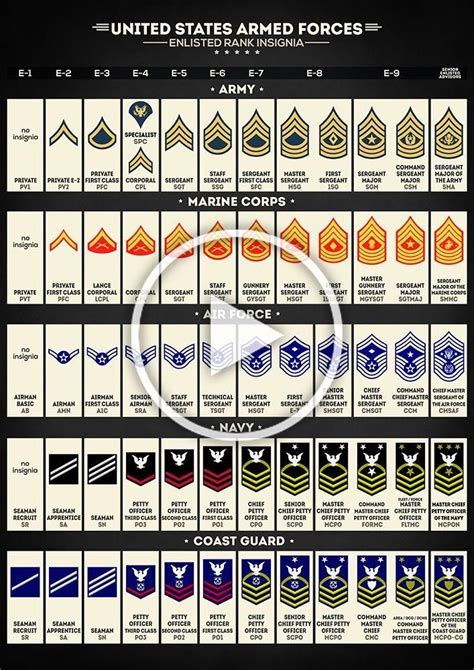 United States Armed Forces Enlisted Rank Insignia Art Print United
