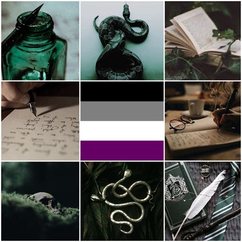 Requests Are Closed On Tumblr Asexual Slytherin Writer Moodboard For