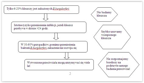 Borelioza Przyczyny Objawy Diagnostyka Leczenie Choroby Z Lyme Porn