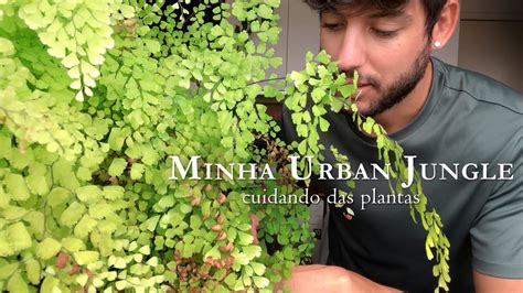 Como Faço A ManutenÇÃo Da Urban Jungle Cuidando Das Plantas Youtube