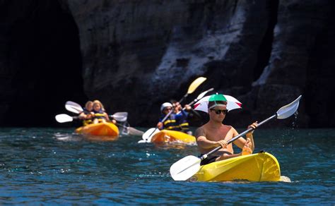 Full refund available up to 24 hours before your tour date. La Jolla Kayak Tours, Rentals & Snorkeling | San Diego, CA ...
