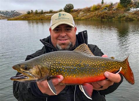 Brook Trout Western Montana Fish Species The Missoulian Angler Fly Shop