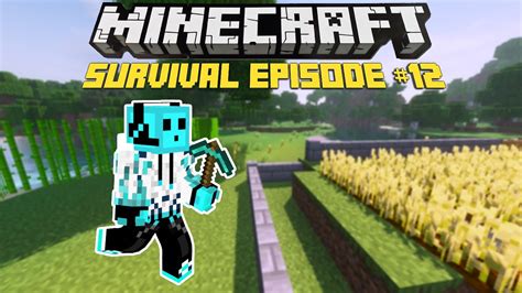 Building The Fence Minecraft Survival Single Player Episode 12
