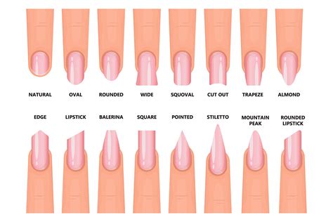types of nails fingers 7 shapes of fingernails nailboo nailboo®