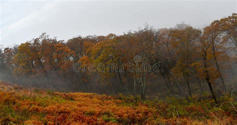 Aerial View Of Mountain Forests In Bright Autumn Colors Stock Photo