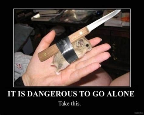 There was a graphic going around that had the old man and it said it's dangerous to go alone! Image - 714984 | It's Dangerous to Go Alone! Take This ...