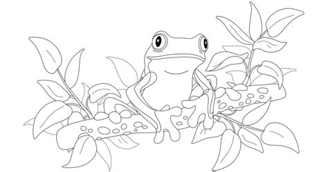Frog Coloring Pages And Drawings Learn About Nature