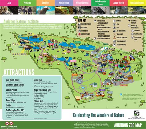 Illustrated Image Of Map Of Audubon Zoo | Zoo map, Audubon zoo, Map