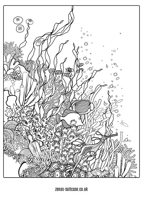 Printable Ocean Scene Coloring Pages Printable Word Searches
