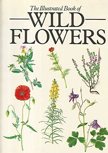 Illustrated Book Of Wild Flowers By Hisek Kvetoslav Hardback Book The