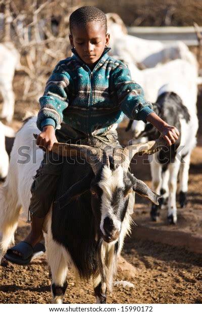 Goat Riding