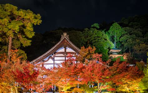 2019 Japan Fall Colors Forecast And Autumn Foliage Viewing