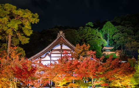 Japan Fall Colors And Autumn Foliage Guide Travel Caffeine