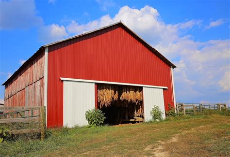 Kentucky's agricultural history is rich, and tobacco was the state's leading cash crop in the 19th tobacco acres have been steadily declining since its peak in the 1980s, but today, tobacco barns still. Sweet Southern Days: Old Kentucky Tobacco Barns