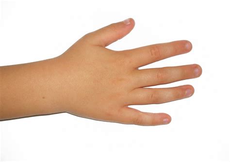 Gratis Billeder Finger Barn Human Arm Søm Fingre Hud Negle