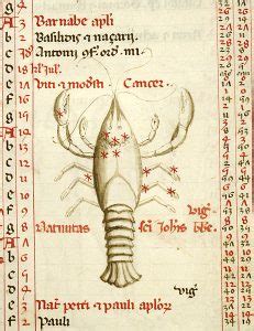 Historically, the crab always messes with things bigger than they are. The Index | » June's Zodiac Sign & "Lobster-like" Crabs