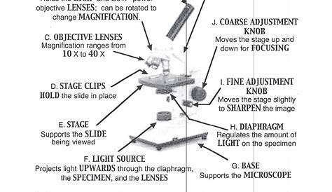 Microscope Labeling Worksheet Answers