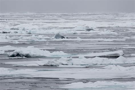 Climate Crisis Arctic Could Be Free Of Sea Ice By 2035 Latest Climate