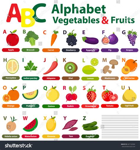 English Alphabet Kids Fruits Vegetables Back Stock Vector Royalty Free