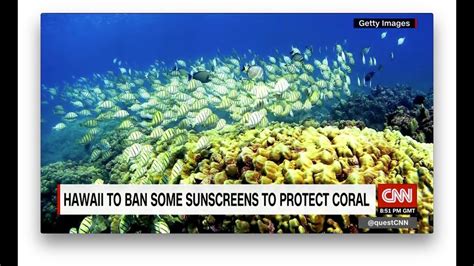 Hawaii Bans Sunscreen To Save Coral Reefs Youtube