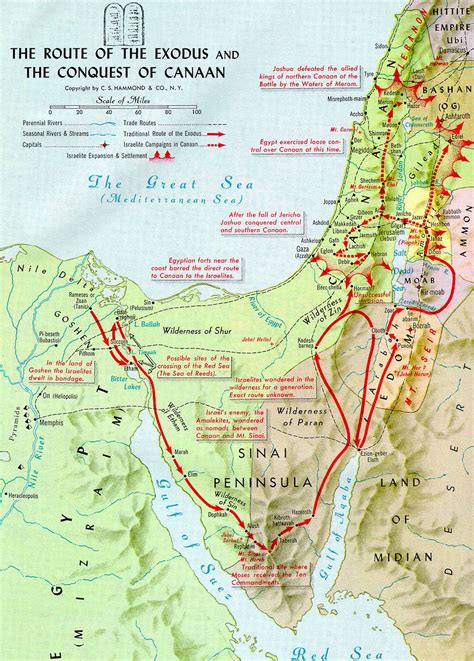 Route Of The Exodus And The Conquest Of Canaan Bible History Map