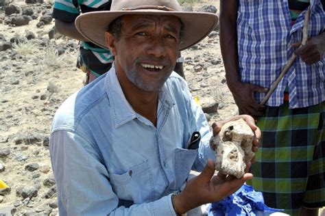38 Million Year Old Skull Found In Ethiopia Offers New Clues On How