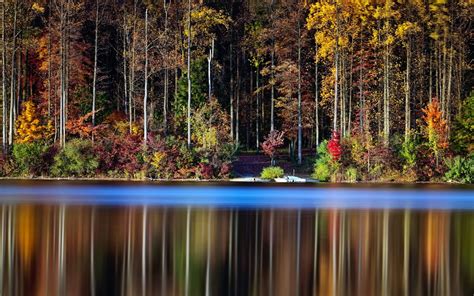 Forest Tree Landscape Nature Autumn Reflection Lake Wallpapers Hd