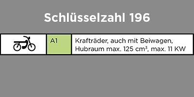 Gleichzeitig besteht jedoch die auflage, bis zum 18. Schlüsselzahl 196 - Wer darf mit dem Pkw-Führerschein ...