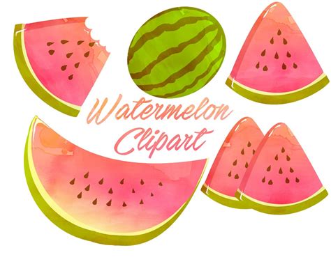 Watermelon Clipart Watermelon Clip Art Watercolor Clipart For