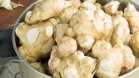 Maybe you would like to learn more about one of these? Sunchokes® (Jerusalem Artichokes) Recipes and History ...