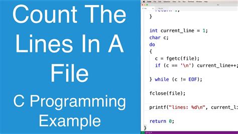 Count The Number Of Lines In A File C Programming Example Youtube