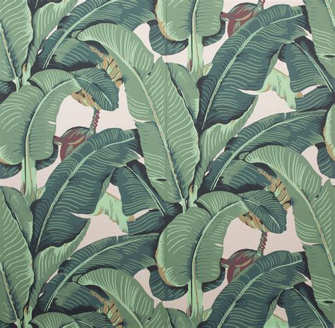 Banana Leaf Wallpapers Wallpaper Cave