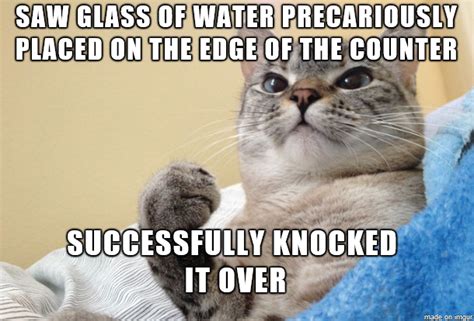 Funny Cat Meme About How Cats Love Knocking Things Over From The Edge